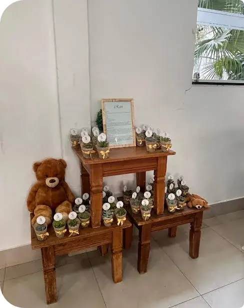 Decoração para eventos — Floricultura Cantinho da Suculenta