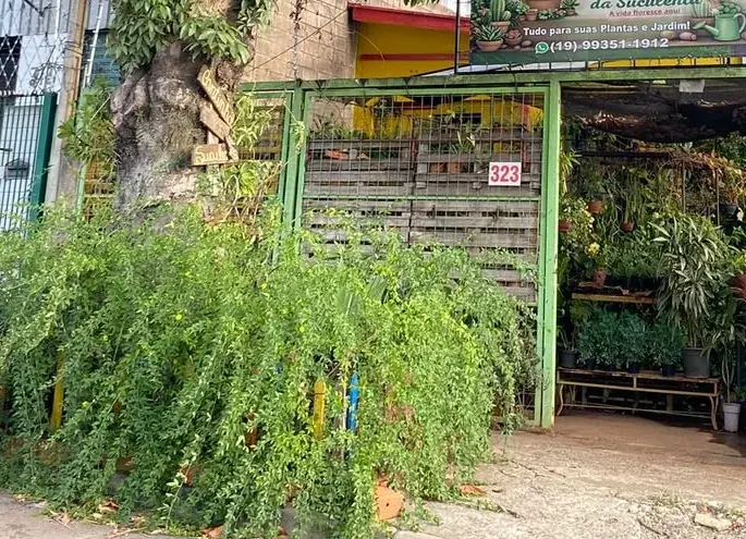Nosso cantinho no Jardim do Lago — Floricultura Cantinho da Suculenta