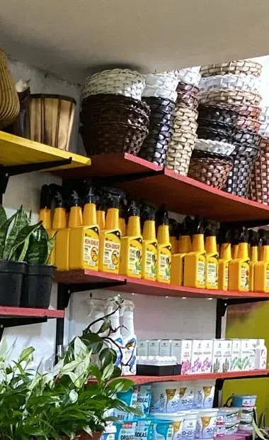 Cuidados e brilha-folhas — Floricultura Cantinho da Suculenta