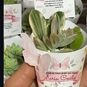 Lembrancinha 3D jardim — Lembrancinha da Floricultura Cantinho da Suculenta