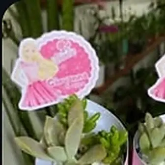 Lembrancinha Barbi — Lembrancinha da Floricultura Cantinho da Suculenta