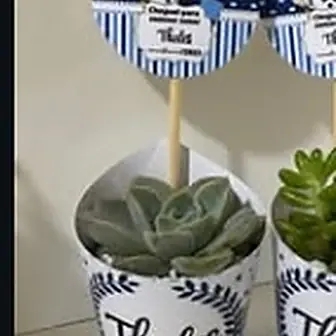 Lembrancinha chá de bebê — Lembrancinha da Floricultura Cantinho da Suculenta