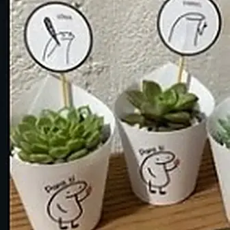 Lembrancinha divertidos — Lembrancinha da Floricultura Cantinho da Suculenta