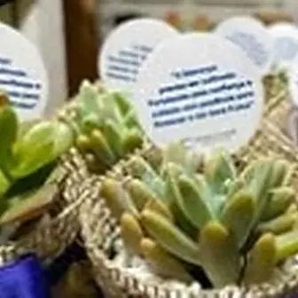 Lembrancinha fita azul escuro — Lembrancinha da Floricultura Cantinho da Suculenta
