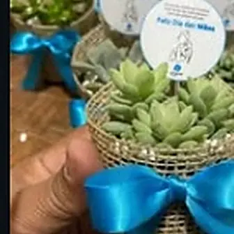 Lembrancinha fita azul tiffany — Lembrancinha da Floricultura Cantinho da Suculenta