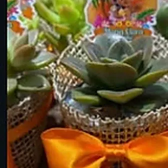 Lembrancinha fita laranja — Lembrancinha da Floricultura Cantinho da Suculenta