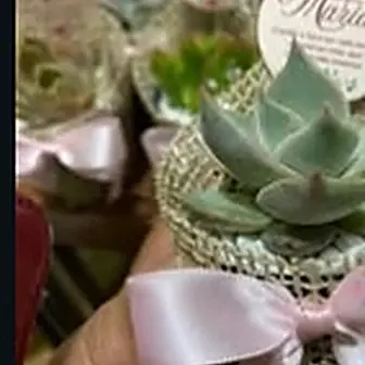 Lembrancinha fita rosa claro — Lembrancinha da Floricultura Cantinho da Suculenta