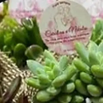 Lembrancinha fita rosê — Lembrancinha da Floricultura Cantinho da Suculenta