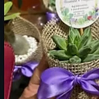 Lembrancinha fita roxa — Lembrancinha da Floricultura Cantinho da Suculenta