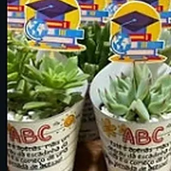 Lembrancinha formatura — Lembrancinha da Floricultura Cantinho da Suculenta
