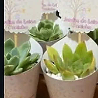 Lembrancinha jardim encantado — Lembrancinha da Floricultura Cantinho da Suculenta