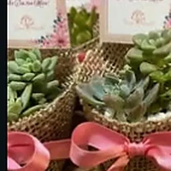 Lembrancinha laço rosa pink — Lembrancinha da Floricultura Cantinho da Suculenta