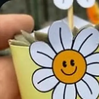 Lembrancinha Setembro Amarelo — Lembrancinha da Floricultura Cantinho da Suculenta